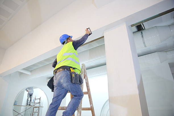 Best Drywall Finishing  in Mchenry, IL